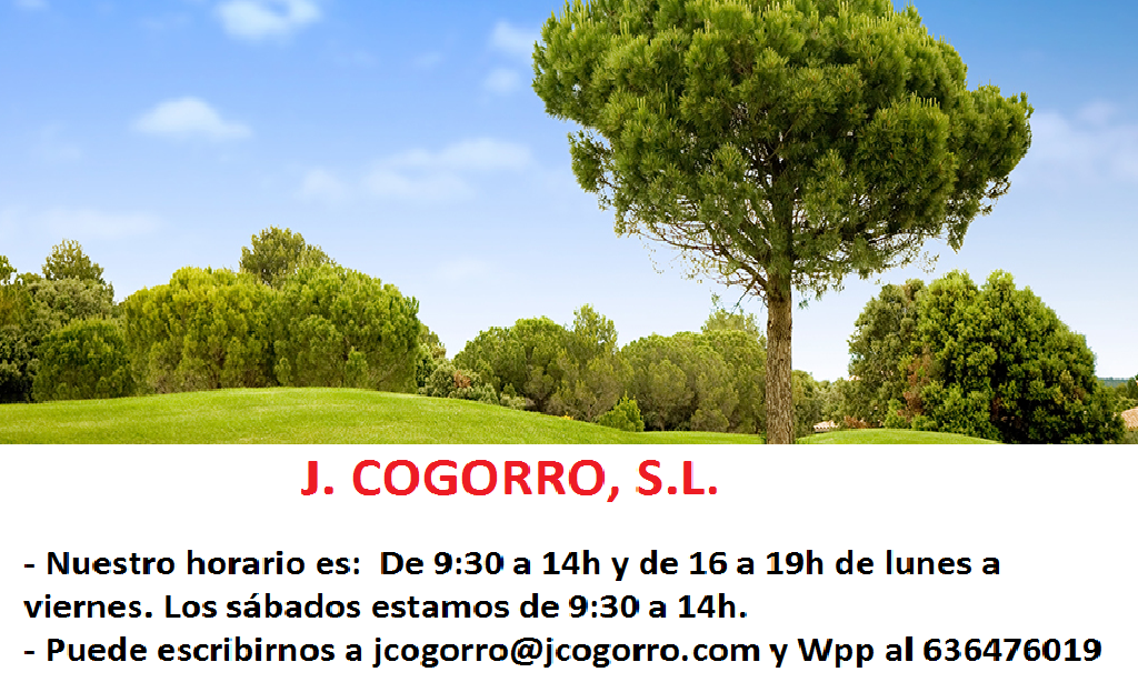 Taller y tienda de J. Cogorro